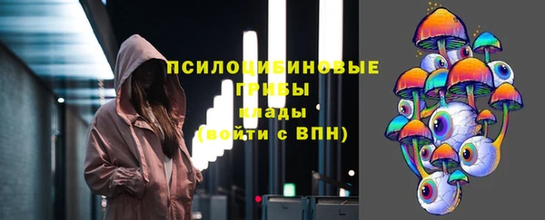 прущая мука Анива